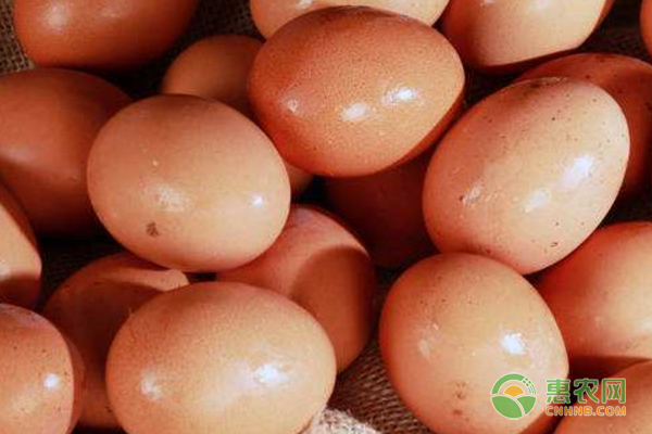今日鸡蛋多少钱一斤？2018年各地鸡蛋涨跌分析